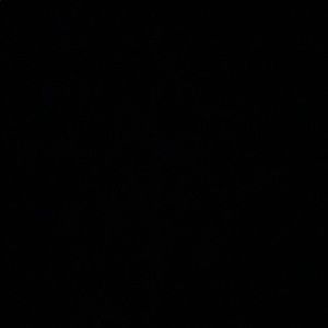 Meet your Posher, Carly